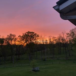 Meet your Posher, Alexia